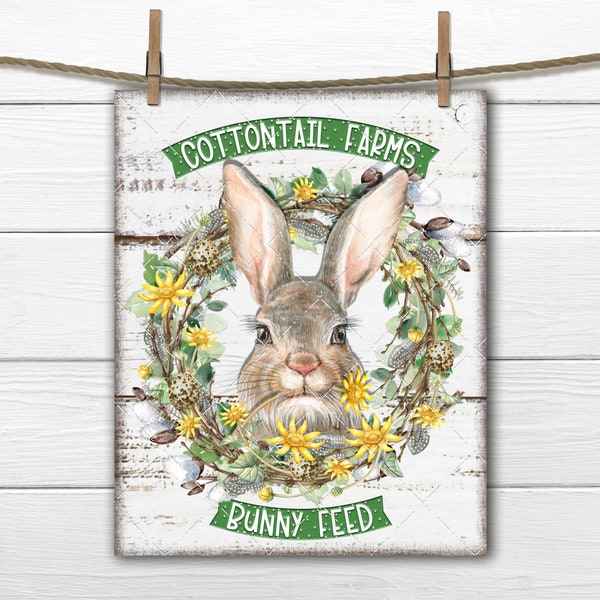 Easter Bunny Cottontail Farms Spring Pussy Willow Dandelion Wreath Bunny Feed DIY Sign Making Fabric Transfer Tiered Tray Decor Digital, PNG