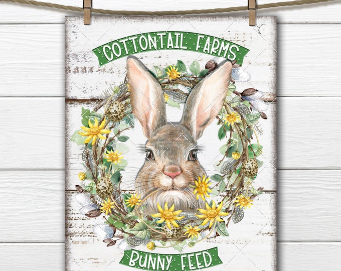 Easter Bunny Cottontail Farms Spring Pussy Willow Dandelion Wreath Bunny Feed DIY Sign Making Fabric Transfer Tiered Tray Decor Digital, PNG