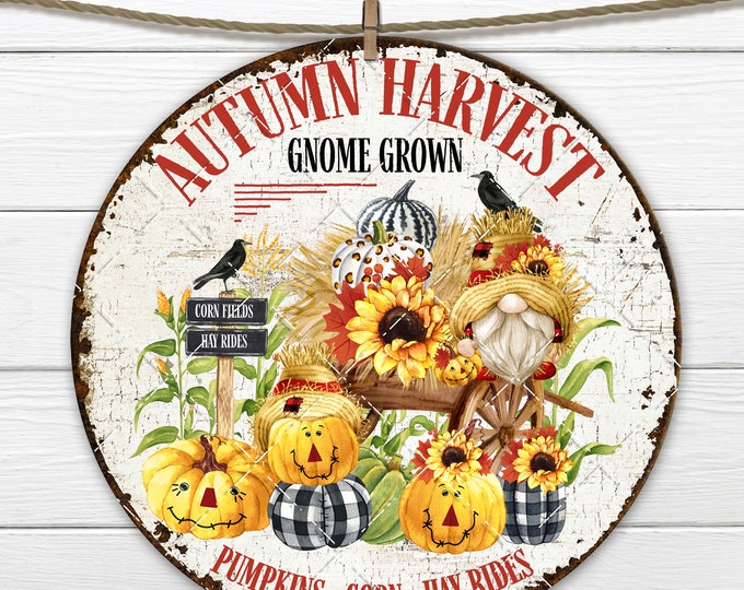 Autumn Harvest Scarecrow Gnome, 8x8 inch Circle Sublimation Door Hanger Round Fall Digital Image Transfer, Plaid Pumpkins, Wreath Accent PNG