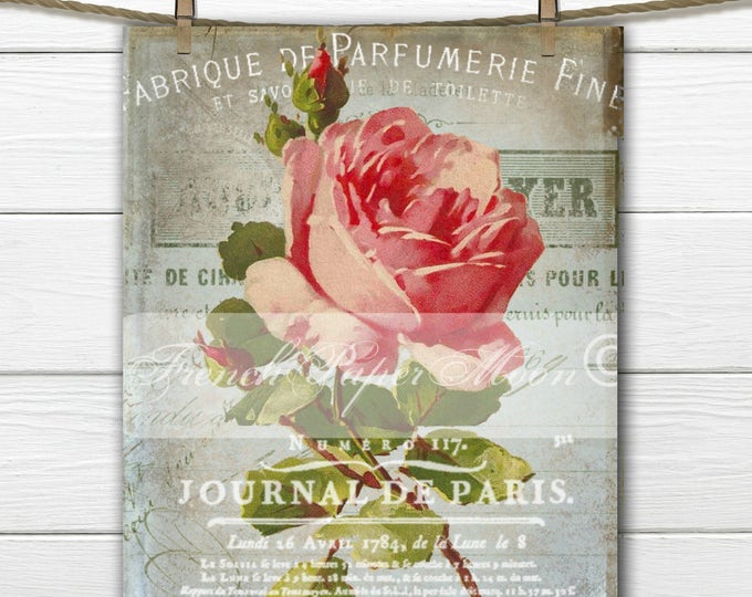 Digital Victorian Rose Collage, french Graphics, Catherine Klein, Large Instant Download French Image Printable, Rose Transfer