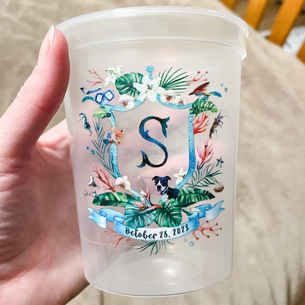 Full Color Clear Stadium Party Cups, Personalized Full Color Stadium Cups, Colorful Party Cups, Custom Full Color Cups, Full Color Stadium