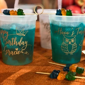 Owl Theme Party Color Changing Cups, Custom Design Mood Cups, Personalized Cups, Children's Birthday Party Cups, Fall Festival Party Favors image 1