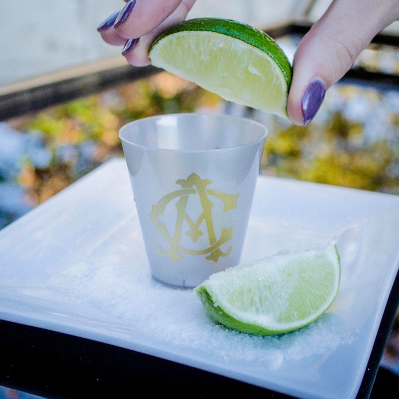 Colored Shot Glasses Plastic Shot Glasses Custom Shot Etsy