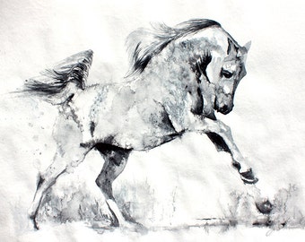 Freedom. Print of a wild white horse. Running horse. Wall art, wall decor, digital print.