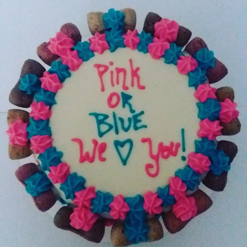 Gender reveal dog cake Etsy