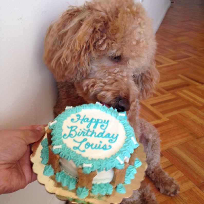 Sugar free Happy Birthday/ Gotcha Day DOG cake dog not Etsy