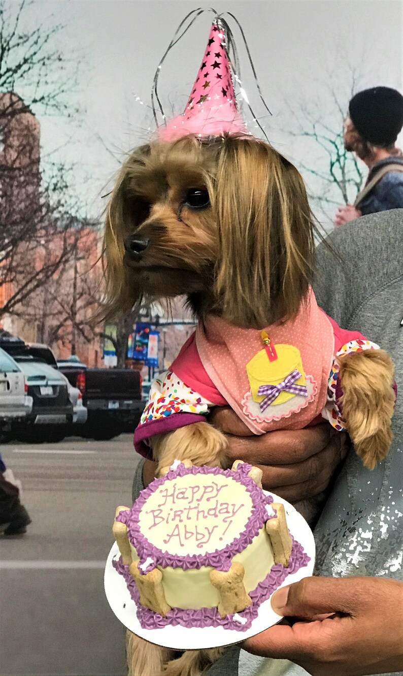 4 Happy Birthday/ Gotcha Day DOG Cake dog Not Include Etsy