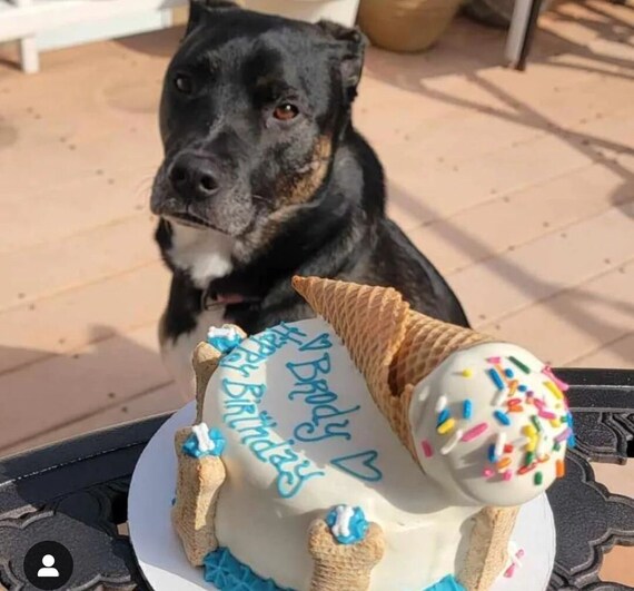 4 Ice Cream Cone Dog Cake Etsy Australia
