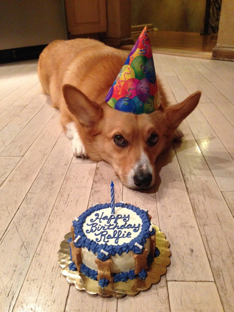 Sugar free Happy Birthday/ Gotcha Day DOG cake dog not Etsy