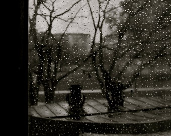 Travel Photography, Dark, Fog, Rain, Rain Drops, Europe, Vienna, Black and White, fPOE, Vienna in the Rain