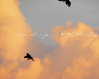 Word Art, Text, Fine Art Photography, Blue Sky, Clouds, Birds, Inspirational, Encouragement, fPOE, These Old Wings Won't Fly Themselves