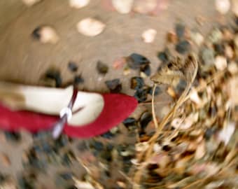 Fine Art Photography, Leaves, Autumn, Dreamy, Surreal, Red, Crimson, Scarlet, Romantic, fPOE, Red Shoe
