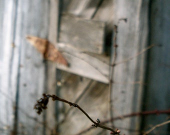 Nature Photography, Blue, Grey, Pacific Northwest, fPOE, Rusty Hinge