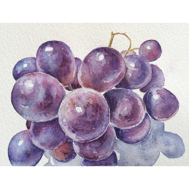 Kitchen Art Grapes Watercolor Painting,still Life Art,watercolor Art