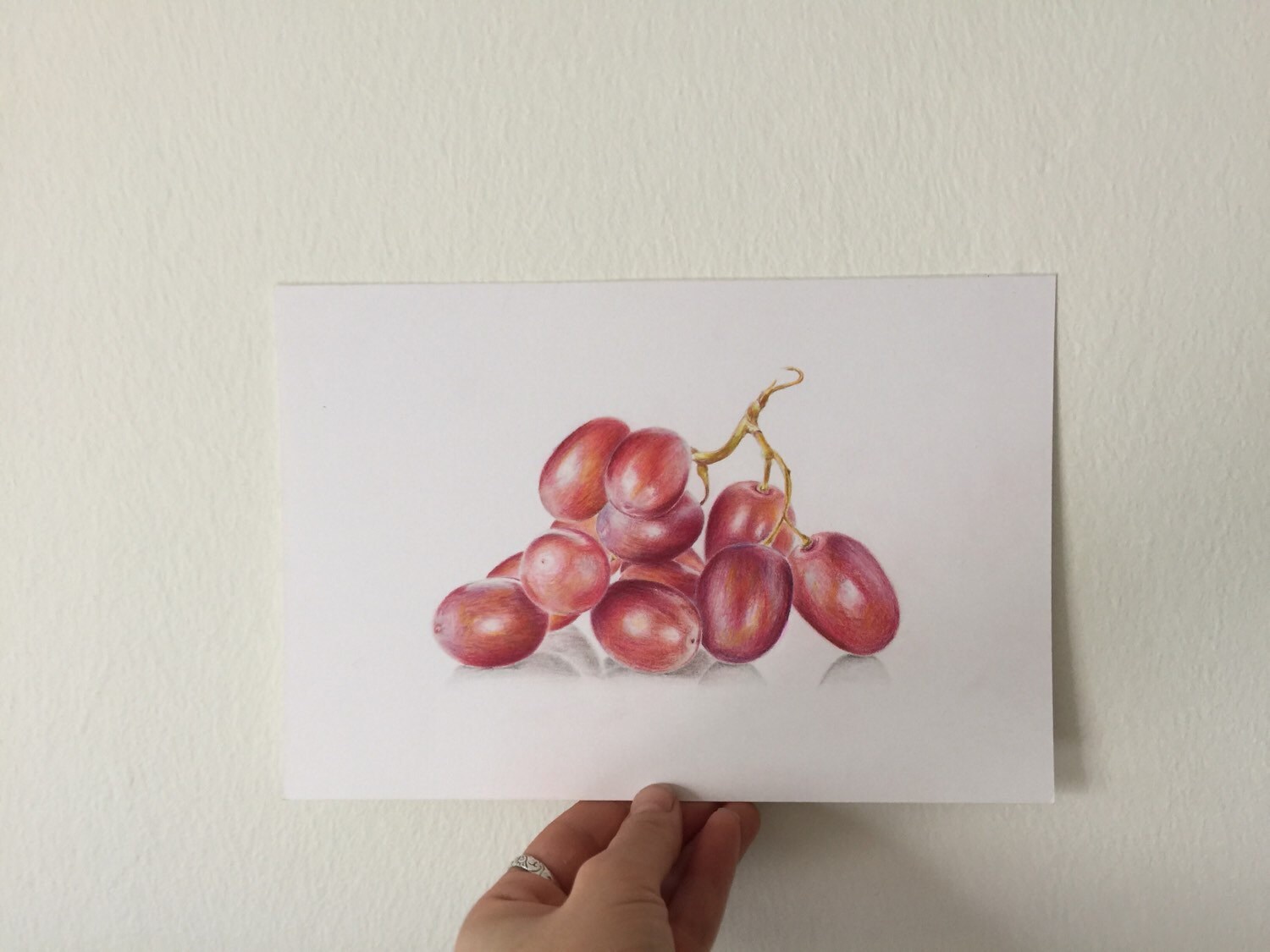 Colored Pencil Grapes Drawing Original Art Still Life Painting Grapes