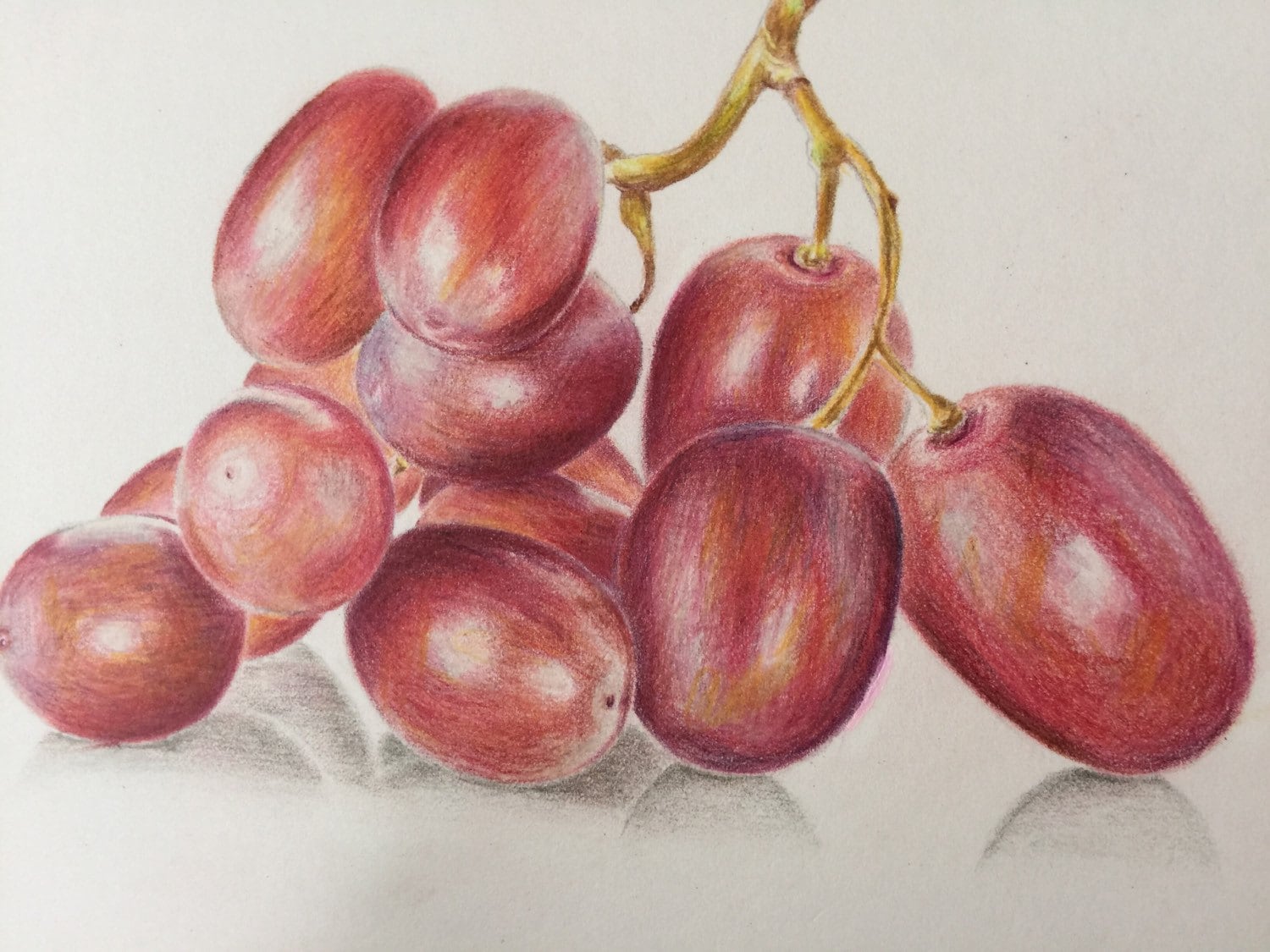 How to draw Grapes | Step by step Drawing tutorials