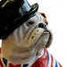 see more listings in the British Bulldog section