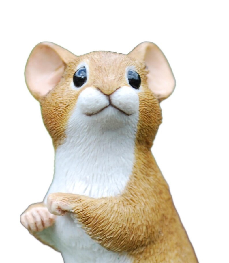 Figurina Raton Mouse Figurine on Conker Shell - by Peakdale Sculptures - A Quality ...