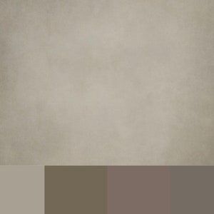 Program Background Beige 4 DIGITAL BACKGROUNDS - Boldly Beige! Use for Photography, Photoshop ...