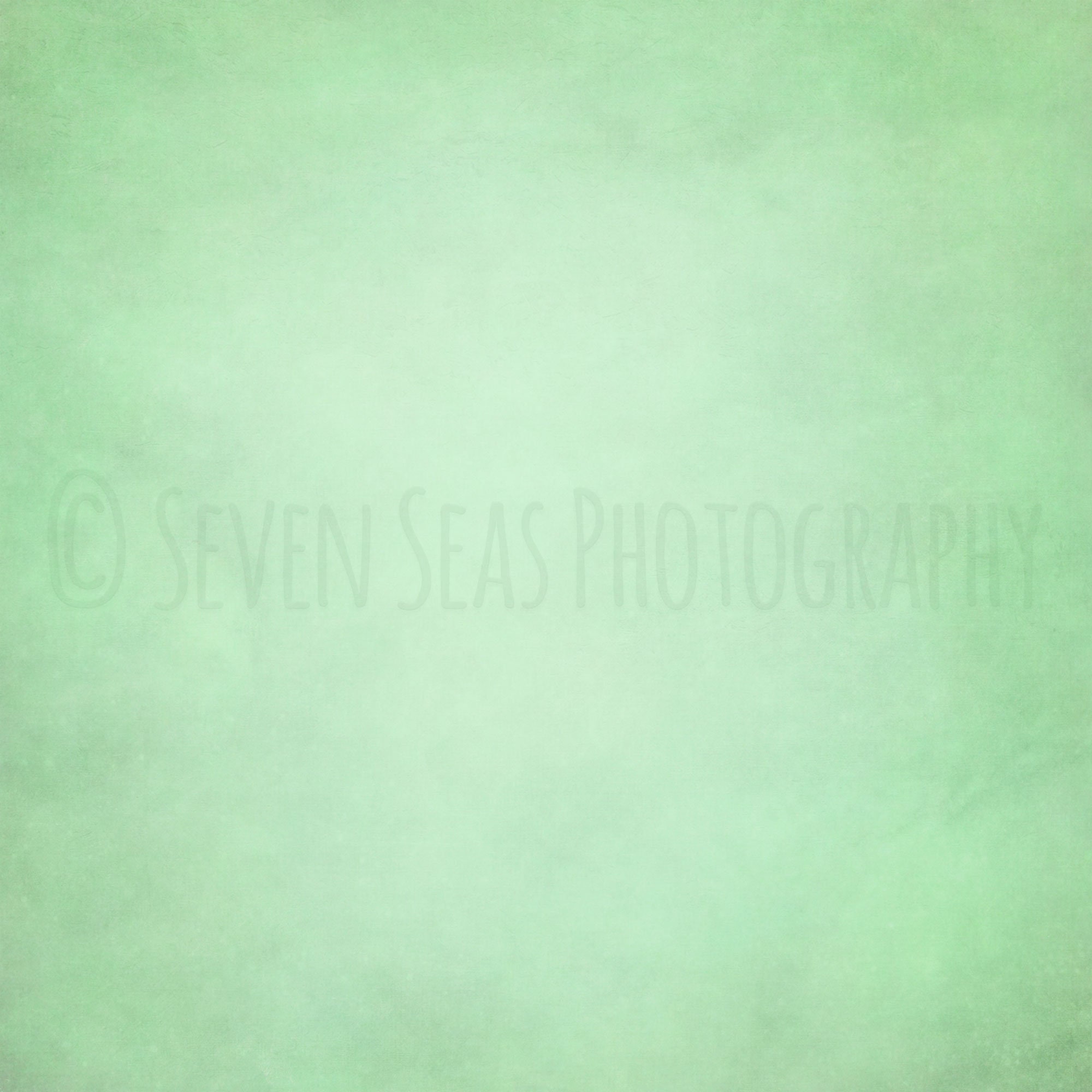 4 DIGITAL BACKGROUNDS Photography Video Portraits Etsy