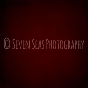 以下が含まれることがあります： 白文字で「SEVEN SEAS PHOTOGRAPHY」と書かれた、無地の濃い赤色の背景
