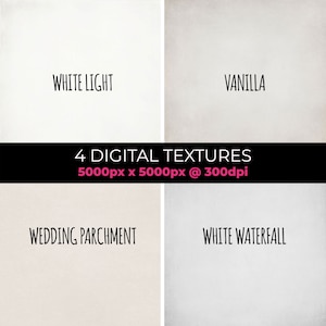 4 DIGITAL BACKGROUNDS - Light Neutral! Use for Photography, Photoshop, Portraits, Digital Art, Stationery, Graphic Design, Canva, Procreate