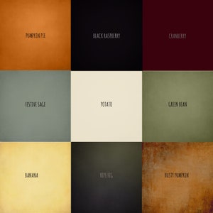 May include: A digital collage of nine color swatches with text labels. The colors are: pumpkin pie, black raspberry, cranberry, festive sage, potato, green bean, banana, ripe fig, and rusty pumpkin.