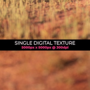 DESERT COLOUR - Digital Background for Graphic Design, Photography, Digital Art & Design, Stationery, Replace Backgrounds, Posters