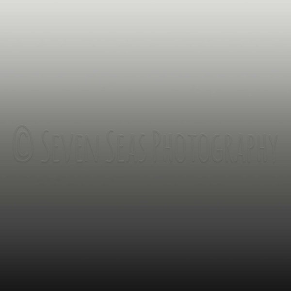 GREY_WHITE GRADIENT - Digital Background, Overlay, . jpg file, download now!