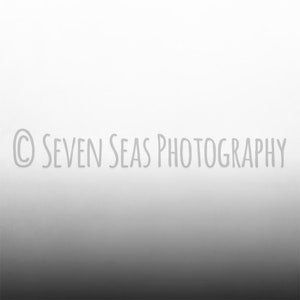 Peut inclure: Une image en noir et blanc avec un dégradé du blanc au noir. Le texte "© SEVEN SEAS PHOTOGRAPHY" est centré dans l'image.