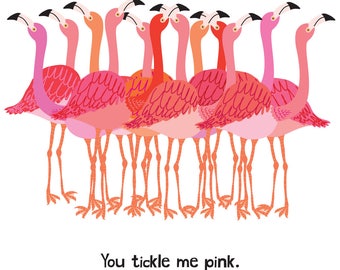Flamingos (4x4 Card)