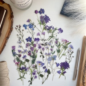 Bloemen doorzichtige sticker set planner stickers bloem sticker accessoires ambachten witte dagboek decoratie plakboek bloem decor madeliefje sticker