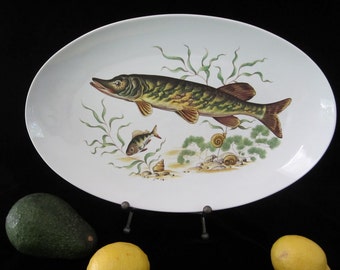 14 1/2" Naaman Pike Fish Platter, Oval Porcelain • Vintage Midcentury Large Serving Plate • Olive Green Fish Snails Plants Wildlife • Israel