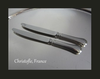 2-Pc Christofle Berry Dinner Knife Acier Stainless • Vintage 1991 Glossy 9 5/8" Contoured Hollow Knives • Luxury Designer Flatware • France