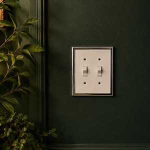May include: A double toggle light switch plate featuring a white rectangular face with two vertical switches and a polished silver metallic border. The switch plate is mounted on a dark green wall and includes four small screw holes for installation.