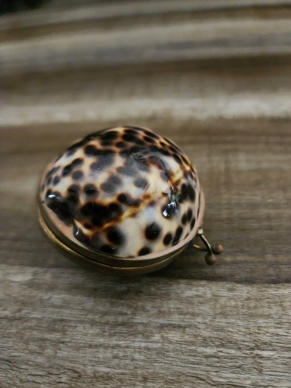 Unique Brown & Beige Cowrie Shell Trinket Box, Vin