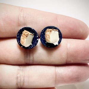 Food Jewelry, Tiny Food Jewelry, Food Jewelry in Handmade, Food Jewelry Miniatures,  Clay Earrings, Gifts for Her, Cheese Cake Earrings