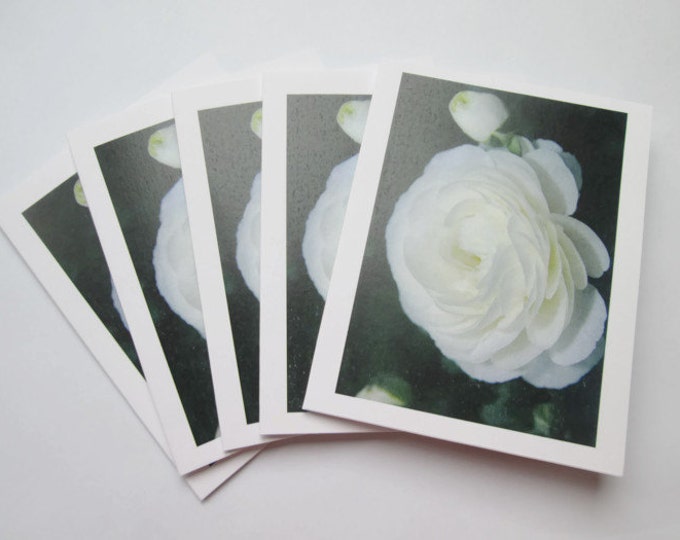 Blank Note Card Note Card Blank Photo Note Cards for Her Gift Cards