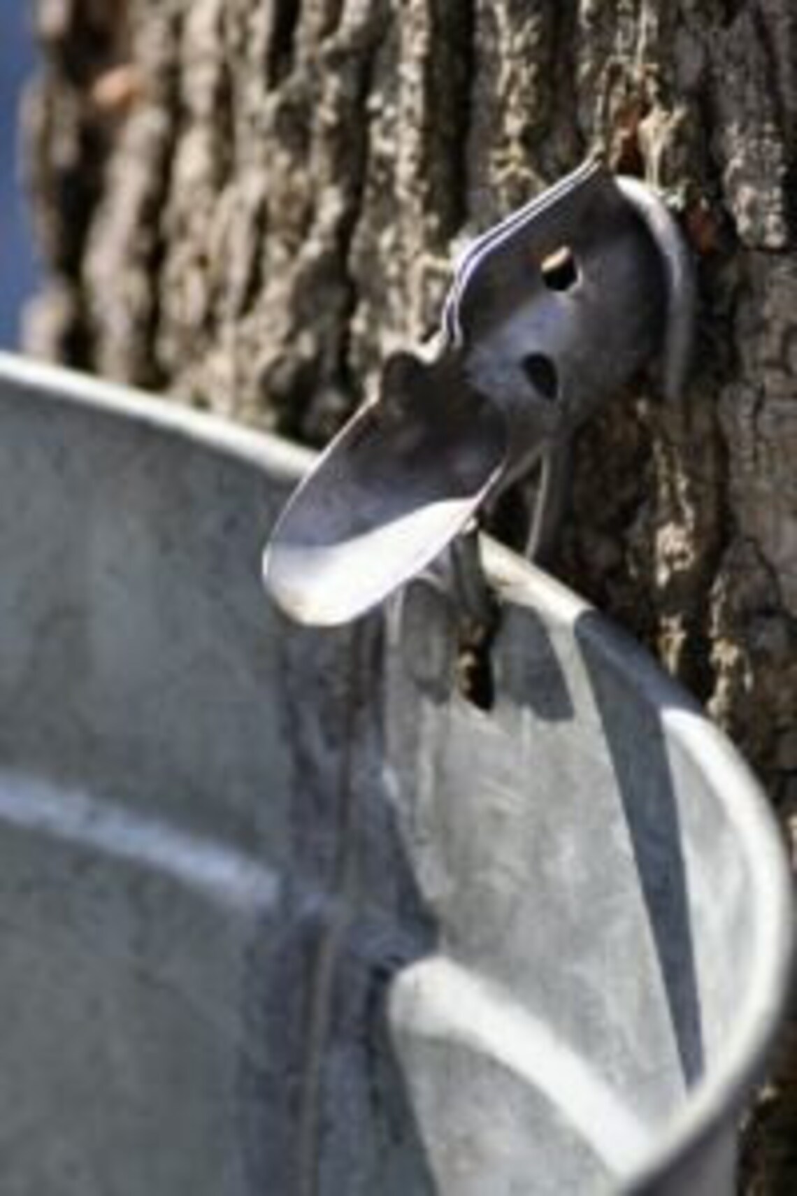 Maple Syrup Spile / Maple Syrup Spout Ornament With Silver Berries and Greenery Etsy