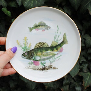 May include: White ceramic plate with a gold rim featuring a detailed illustration of two fish. The fish are green, brown, and yellow with pink fins. The plate has a green and white floral design.