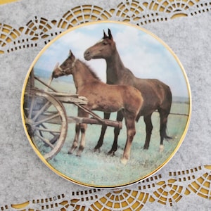 Vintage decorative porcelain plate 7.5 inches - Horses - Wall hanging plate - Germany vintage plate - 1980s