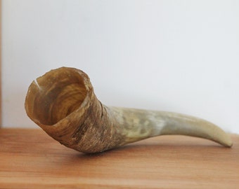 Genuine Cow Horn - 8.7 inches - Viking Wild Drinking Horn - Soviet Horn Collectibles - Natural horn