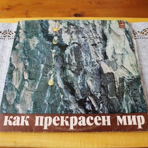 May include: A vintage vinyl record cover with a close-up image of tree bark with drops of sap. The text "как прекрасен мир" is printed in brown letters on a brown background.
