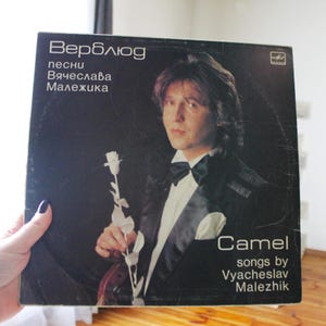 May include: A black vinyl record album cover with a photo of a man in a tuxedo holding a white rose. The album is titled "Верблюд" and features the text "песни Вячеслава Малежика" and "Camel songs by Vyacheslav Malezhik".
