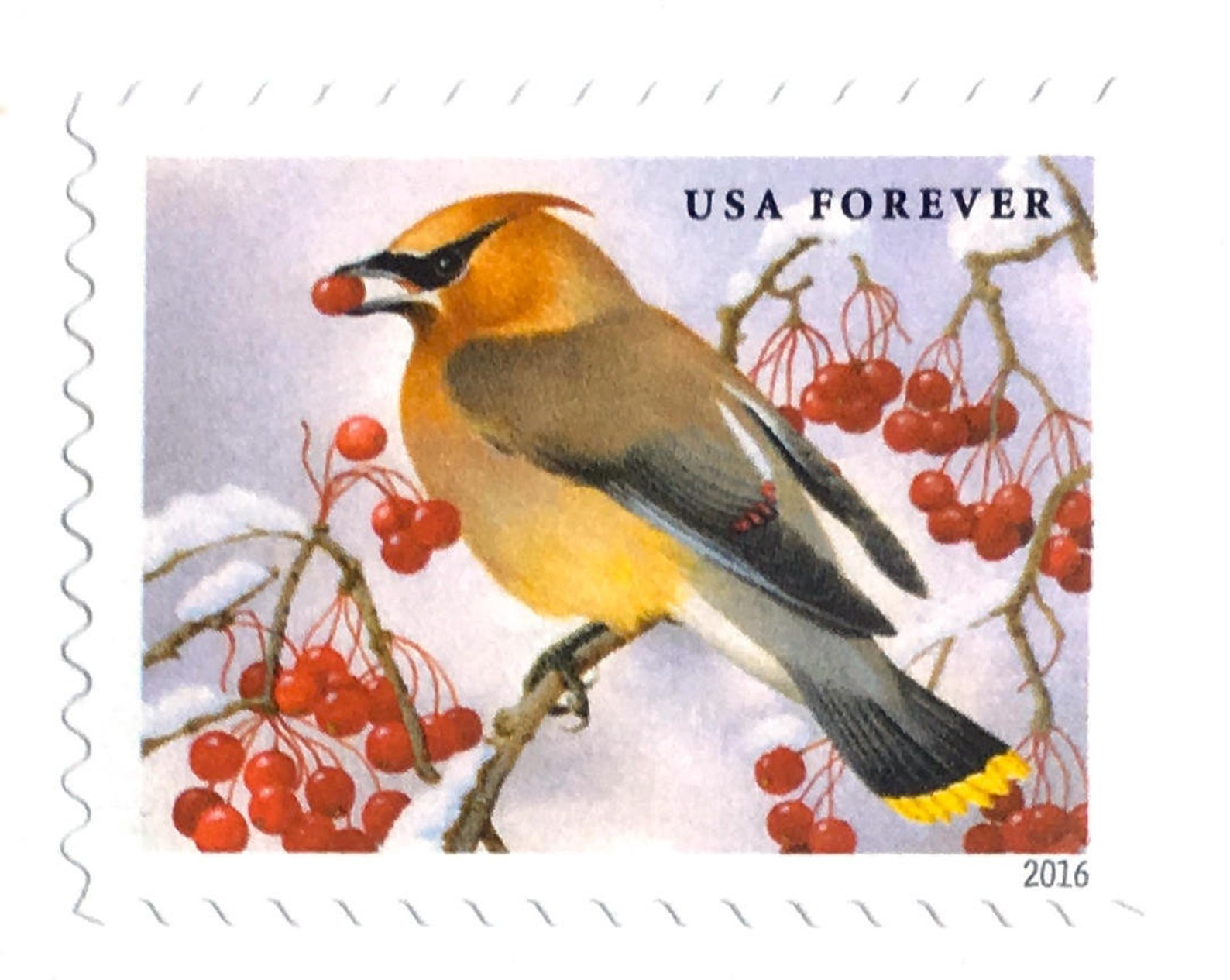 10 Winter Berry Christmas Forever Stamps / Snowy Holiday Etsy