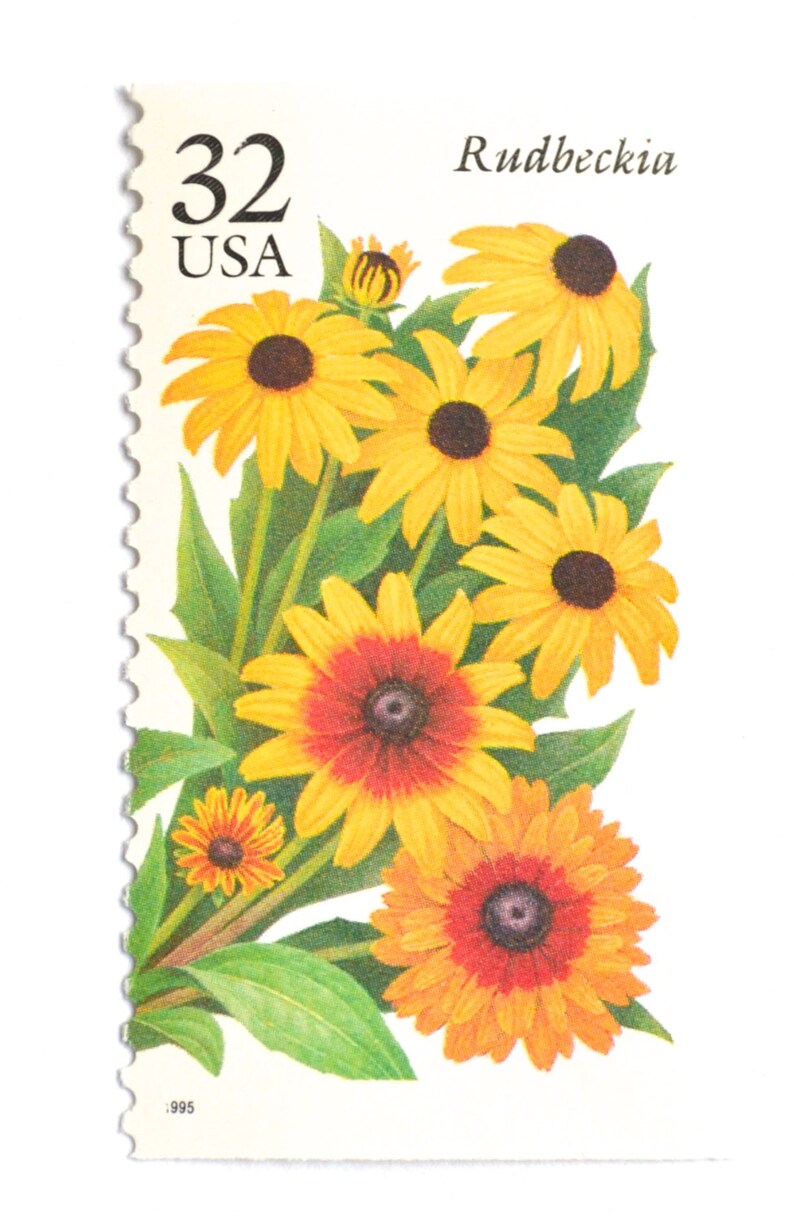 10 Vintage Black-eyed Susan Stamps Unused Yellow Coneflower Postage Rudbeckia Flower Stamps for Mailing