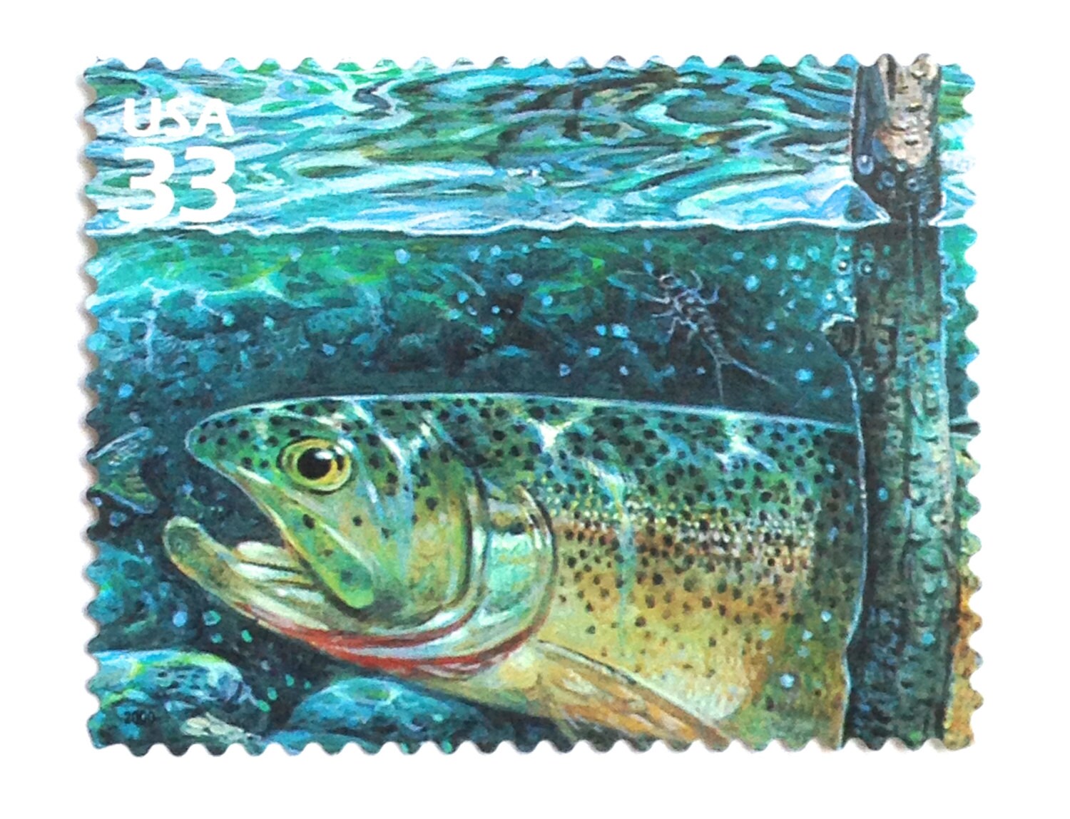 5 Trout Stamps // Unused Rainforest River Fish Postage Stamps Etsy