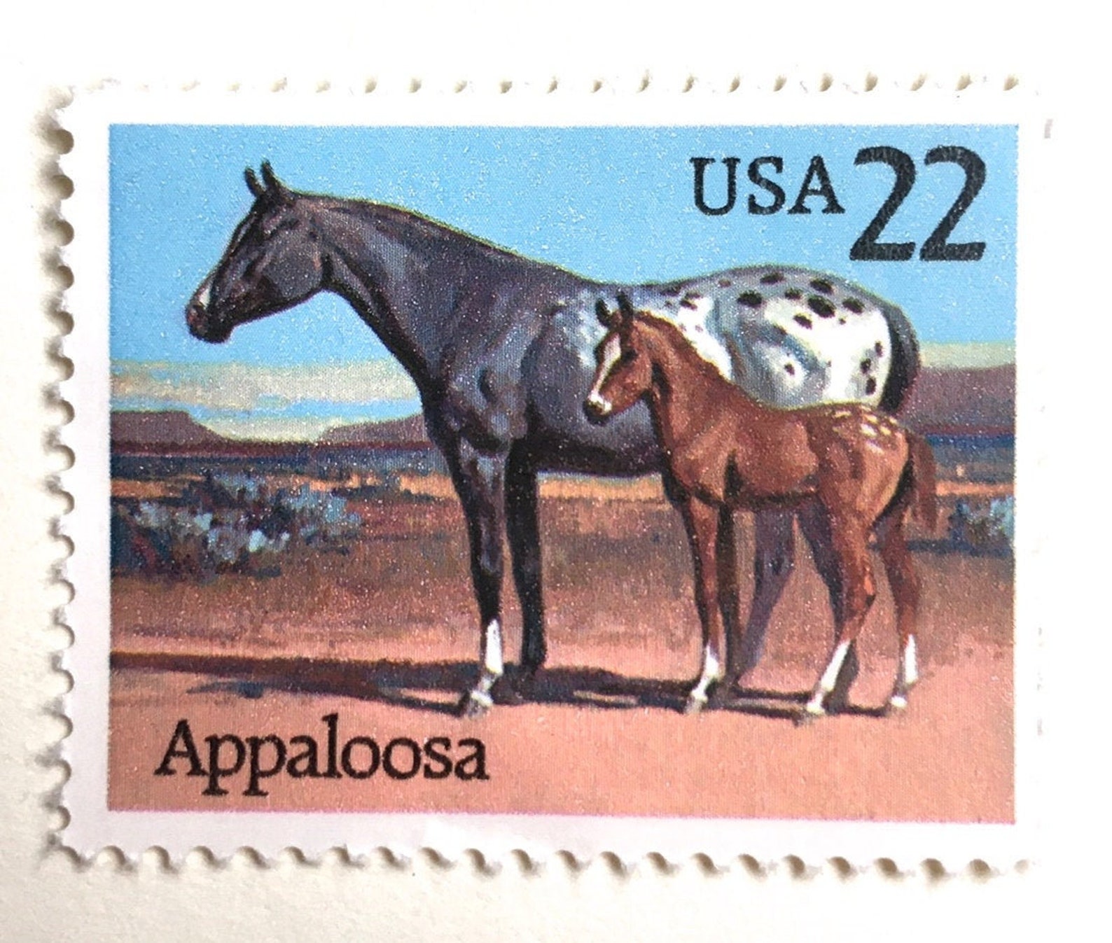 10 Vintage Horse Stamps Unused Appaloosa Horse Western Postage Etsy