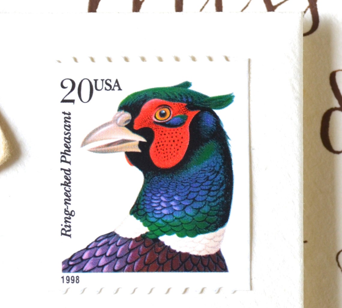 10 Vintage Pheasant Postage Stamps for Mailing Cards // Etsy