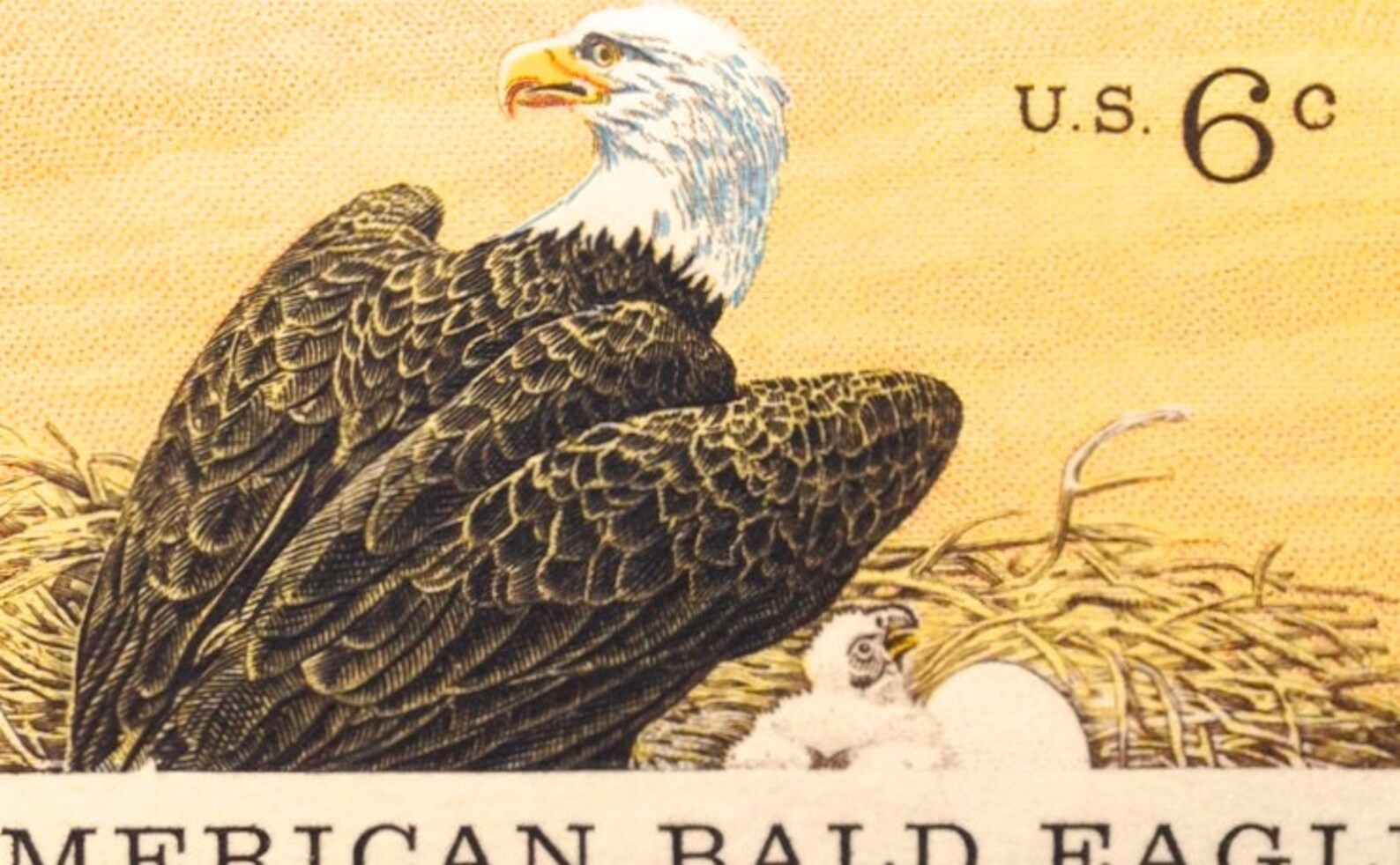 10 Vintage Bald Eagle Stamps Unused Vintage 6 Cent Wildlife Etsy